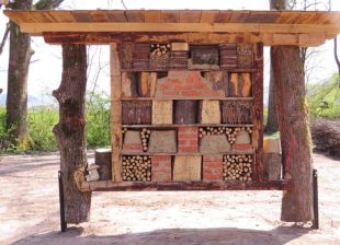 Insektenparadies an der B33