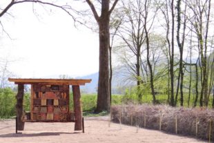 2021-4-23-Landratsamt Ortenaukreis-Blühender Rastplatz_Insektenhotel Totholzhecke