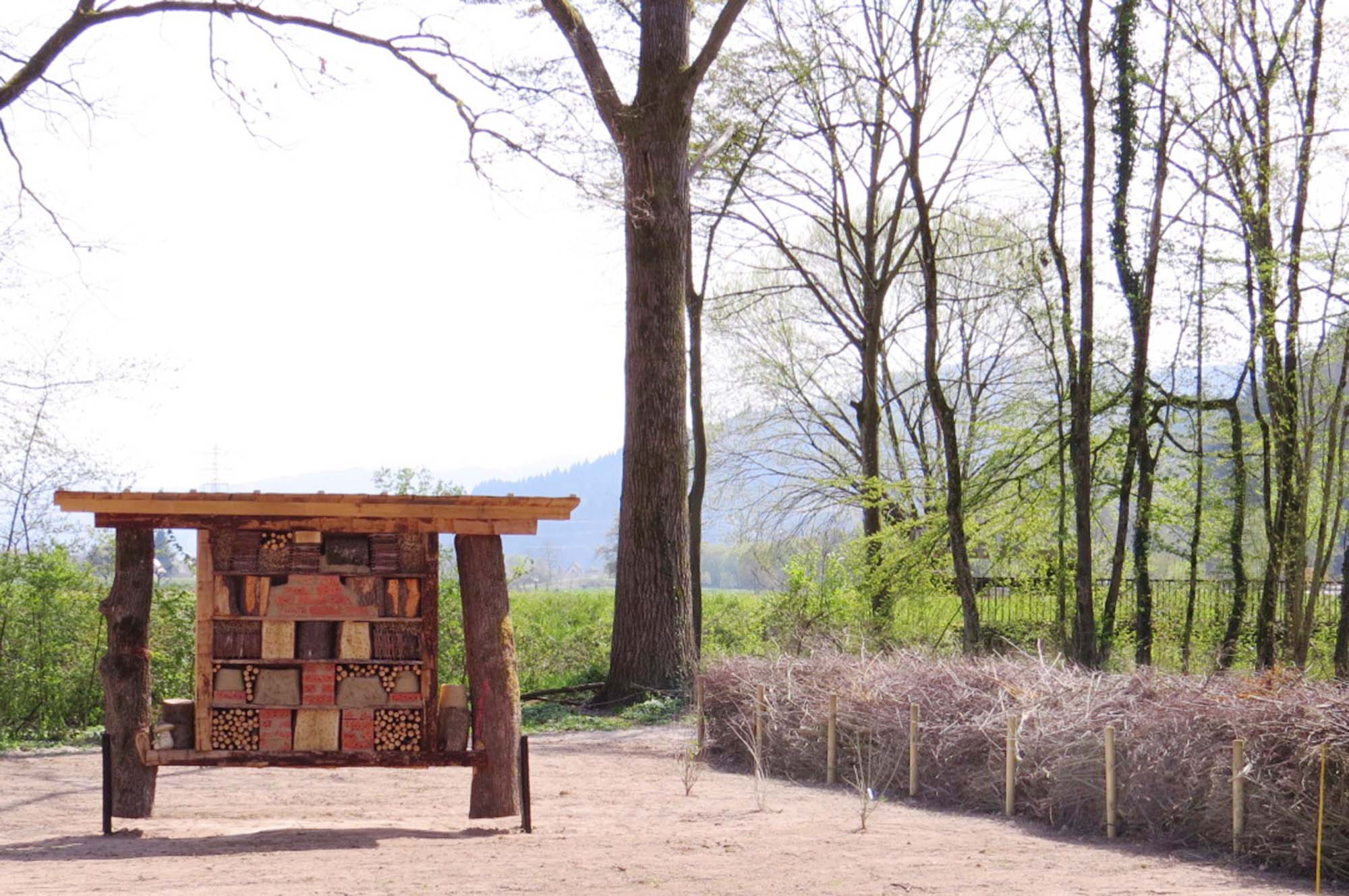 2021-4-23-Landratsamt Ortenaukreis-Blühender Rastplatz_Insektenhotel Totholzhecke