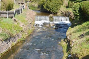 2021-4-26-NO-hps-Nordrach Ansichten-Gemeinderat-DSC_9472 2