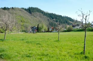 »Ballmatte« soll erschlossen werden