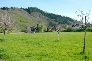 2021-4-27-OH-vo-Ballmatte DSCF8206_1