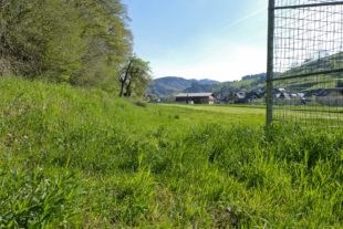 Damit Kinder die Natur hautnah erleben