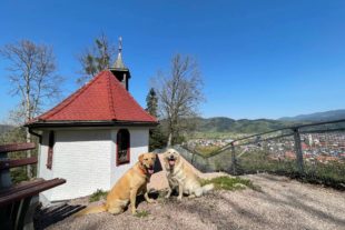 2021-4-29-BI-Doris Herrmann-Maientour-IMG_3508