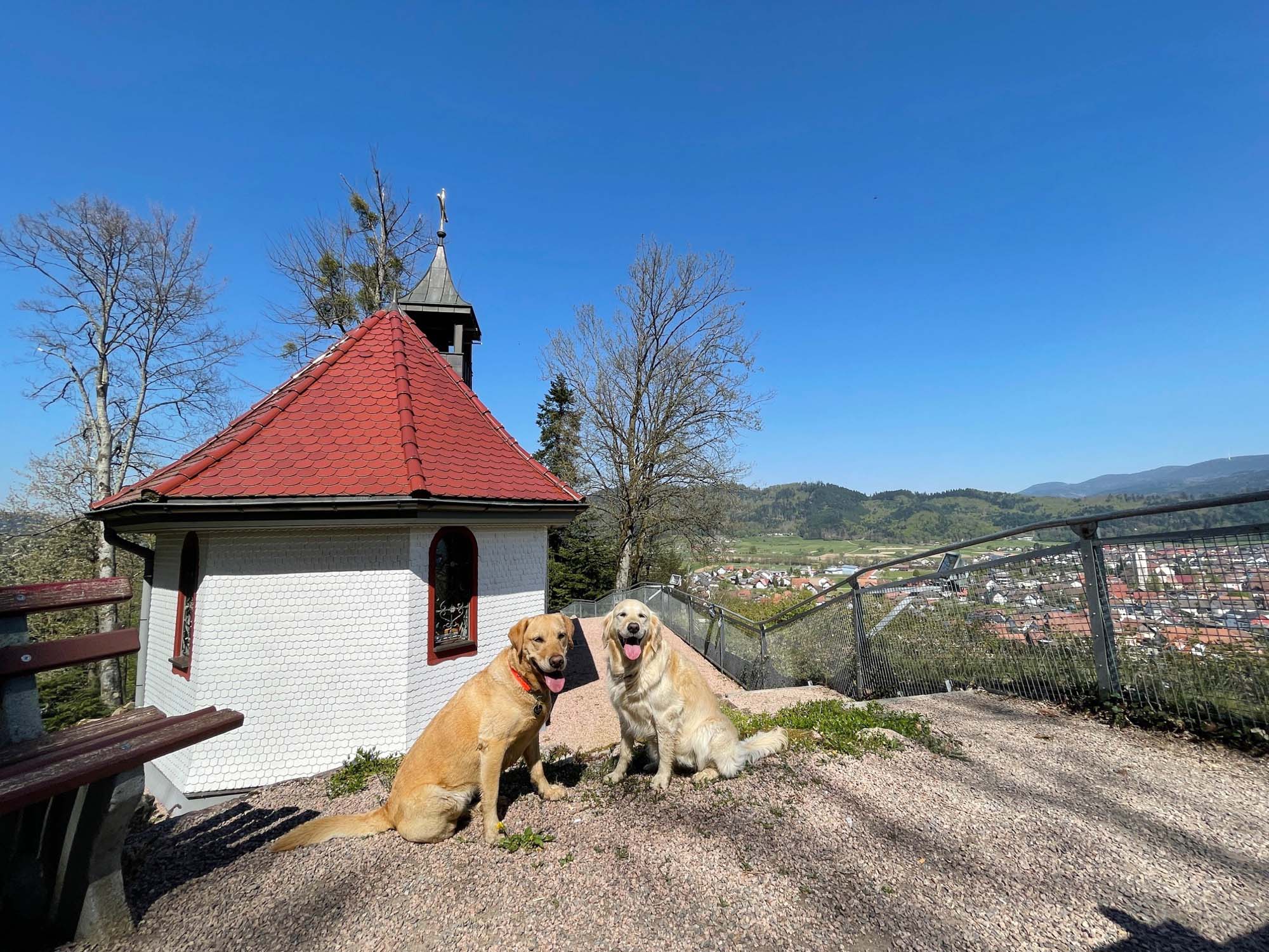 2021-4-29-BI-Doris Herrmann-Maientour-IMG_3508