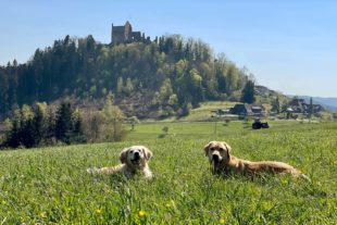 2021-4-29-BI-Doris Herrmann-Maientour-IMG_3542