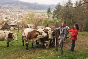 2021-4-9-BI-privat-SWV-Osterwanderweg-IMG-20210408-WA0001