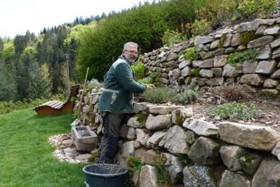 2021-5-10-NO-bia-Moosbachgarden-SP Trockenmauer