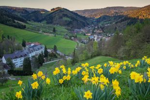 2021-5-21-NO-Robert Schwendemann-Nordrach-Beilage-IMG_4753-Bearbeitet Kopie