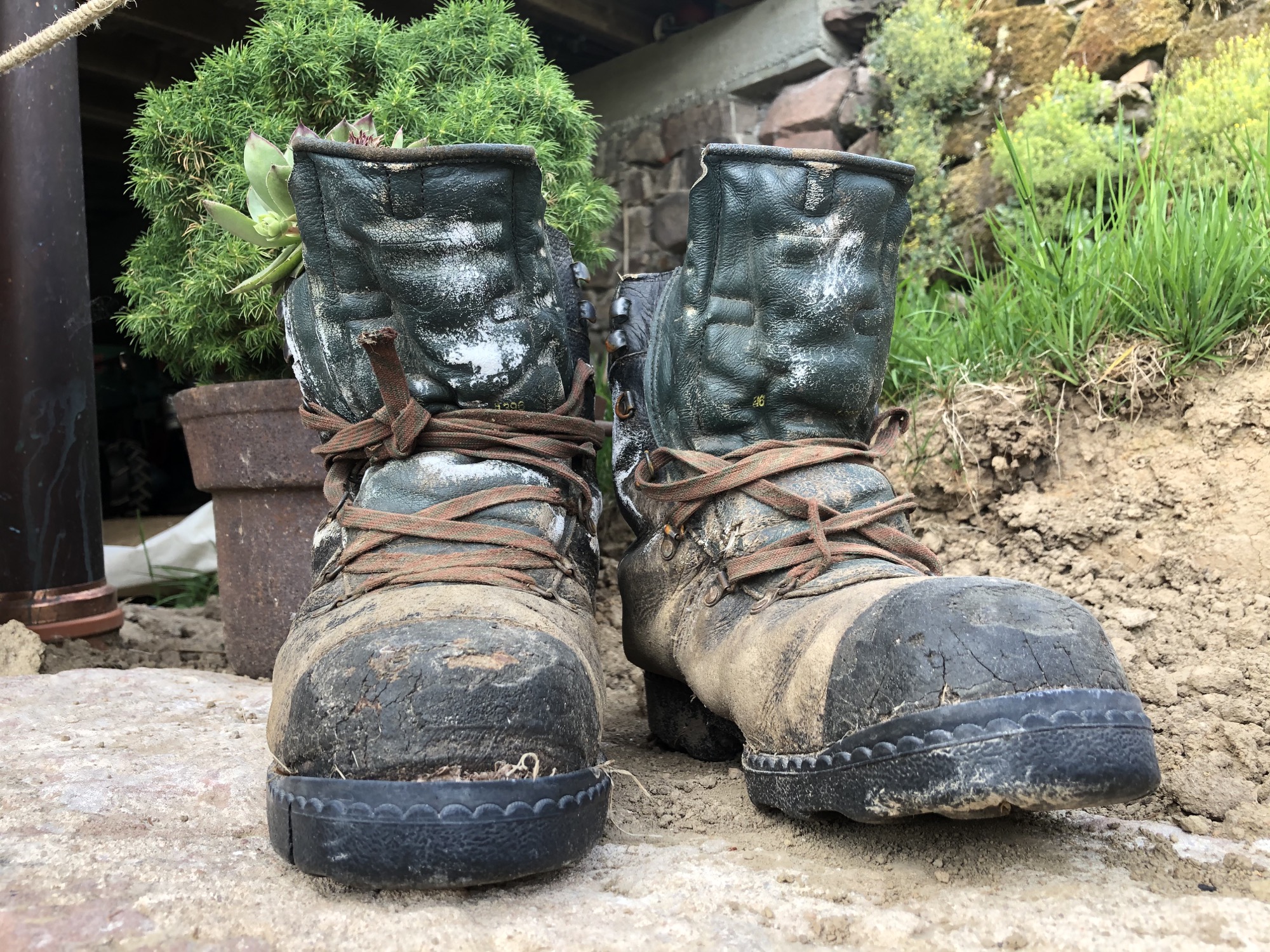 2021-5-21-NO-Touristen-Info-Nordrach-IMG_7604