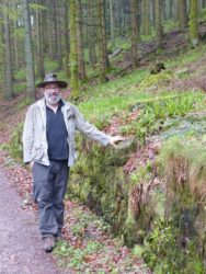 Trockenmauern sind historisch wie ökologisch von Bedeutung