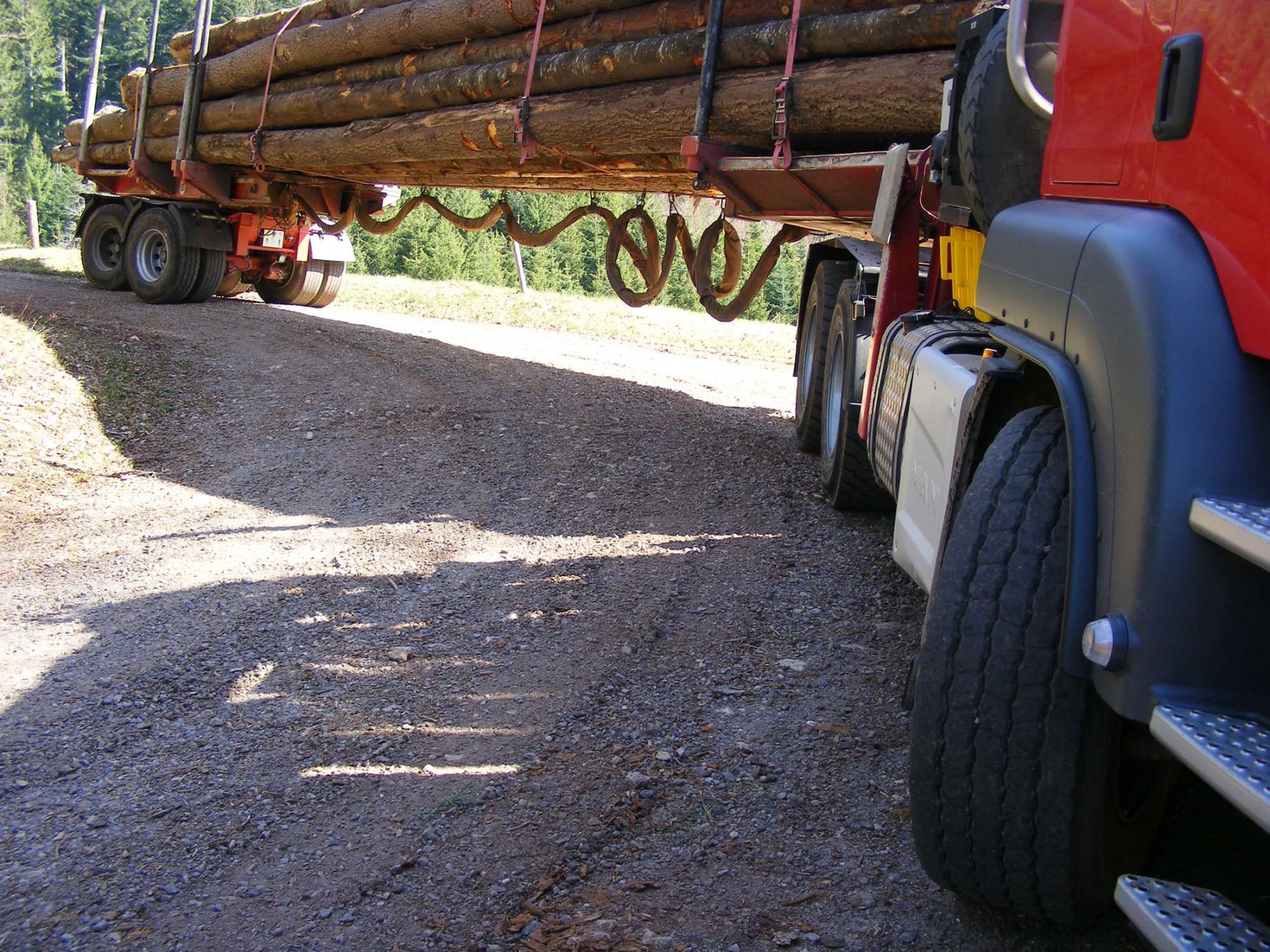 Chochqa bilan chochqaxonada jinsiy aloqa