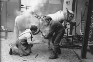 2021-5-5-ZE-UH-hpw-privat-Riehle-Schmied-IMG_20210425_0001