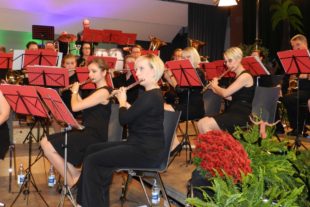 2021-5-7-ZE-UH-hpw-Musik-Musikkapelle - Jahreskonzert 2017 (20)