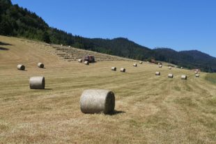 2021-6-14-NO-hps- Heuernte IMG_20210613_153819