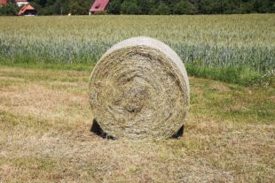 2021-6-14-NO-hps- Heuernte IMG_20210613_154200