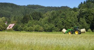 Wenn Landwirte zu Landschaftsgrafikern werden, läuft die Heuernte