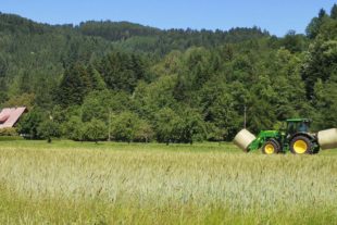 2021-6-14-NO-hps- Heuernte IMG_20210613_154354