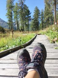 Durchatmen in Nordrachs Wäldern