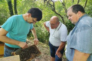 2021-6-21-NO-privat- Honigprämierung Foto2_Prämierg_2021