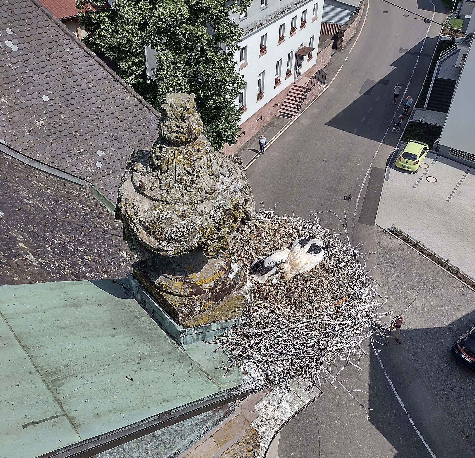 2021-6-21-ZE-Storchenberingung-IMG_20210618_154730274_HDR