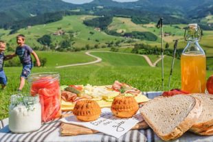 2021-6-23-OH-Felix Huber-Picknickkonzert in OH