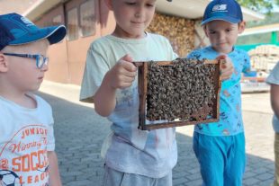 2021-6-30-ZE-Kiga Kleine Wolke-Imkerei Waidele-20210623_111213