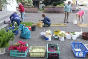 2021-6-7-BI-Barbara Martin-Fronleichnam-20210603_061337_1622798120897