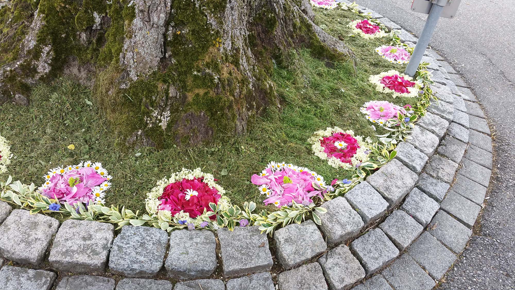 2021-6-7-BI-Barbara Martin-Fronleichnam-20210603_094416_1622797832611