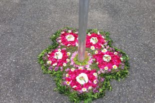 2021-6-7-BI-Barbara Martin-Fronleichnam-20210603_094444_1622797884764