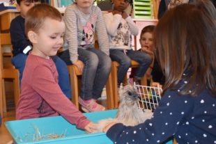 2021-7-16-NO-Kindergarten-Tierische Woche-DSC_0005