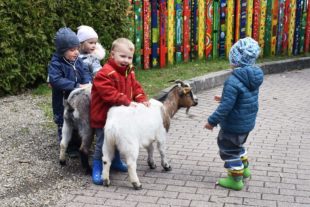 2021-7-16-NO-Kindergarten-Tierische Woche-DSC_0659