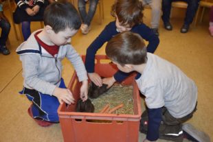 2021-7-16-NO-Kindergarten-Tierische Woche-_DSC0104