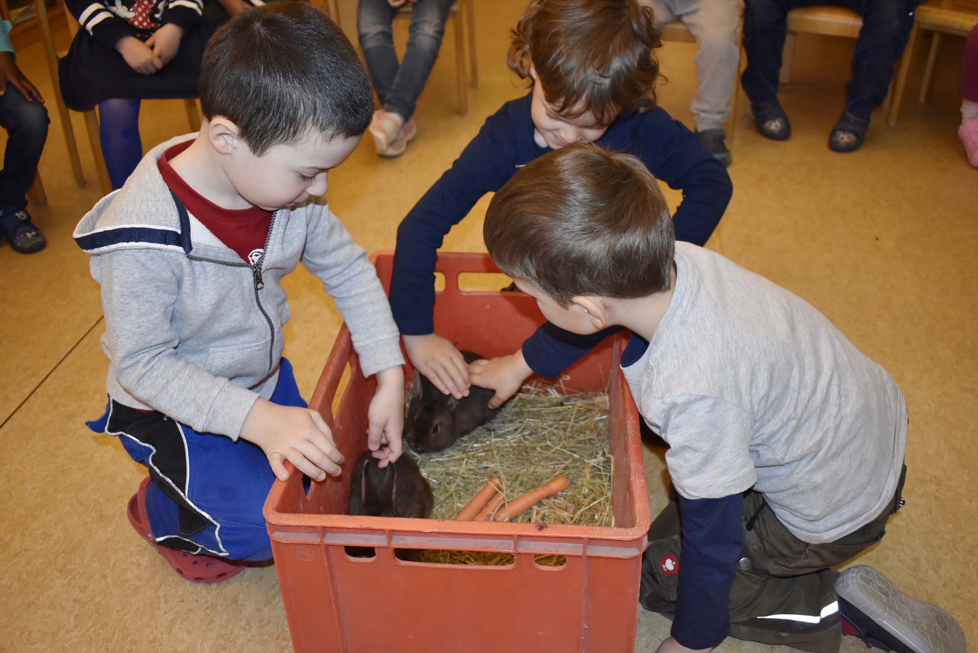 2021-7-16-NO-Kindergarten-Tierische Woche-_DSC0104