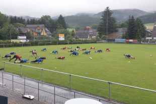 2021-7-2-ZE-UH-Verein-FVU-Workout-20210630_191827