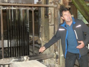 Erstes Schausägen seit Beginn der Corona-Pandemie