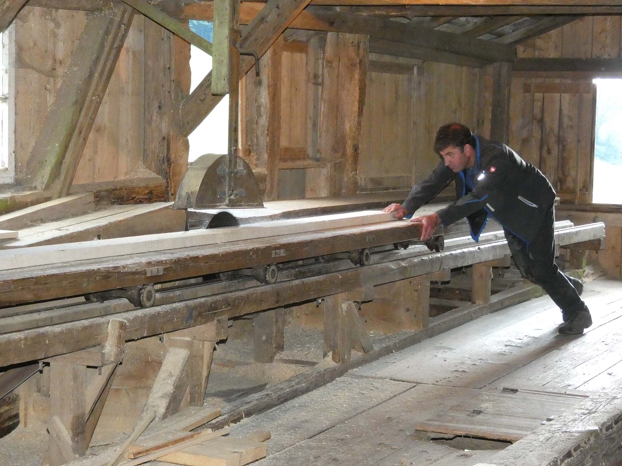 2021-7-26-OH-bia-Gallussäge+ SP Kreissäge