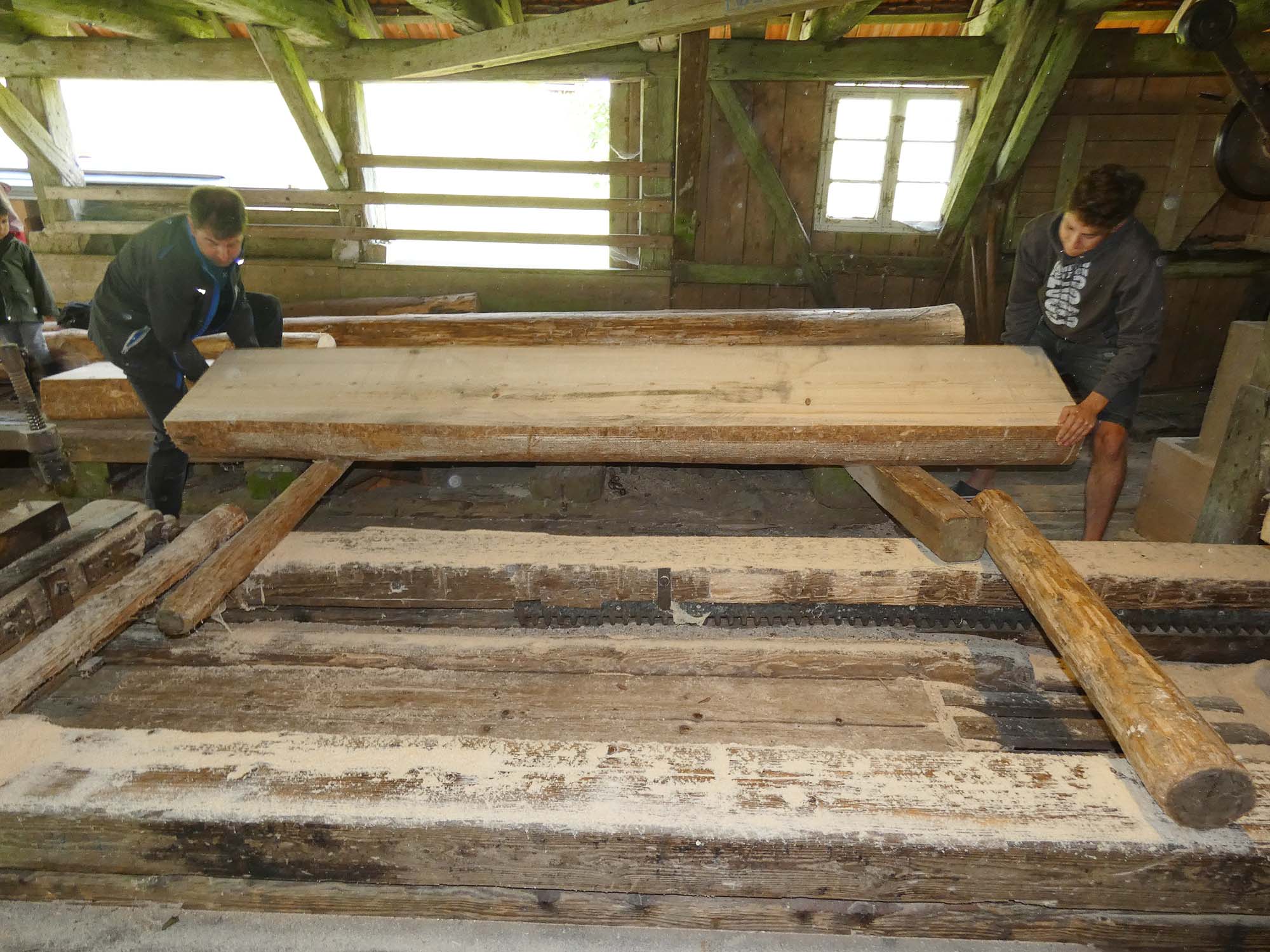 2021-7-26-OH-bia-Gallussäge+ SP Stamm hievenP1000700