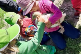 2021-7-5-BI-Naturkindergarten- Bauernhoftag IMG_4980