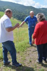 Eindeutiger Nachweis eines Wolfes in Nordrach