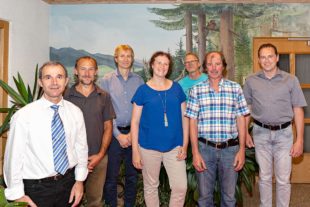 Insektensterben mehr in den Fokus rücken