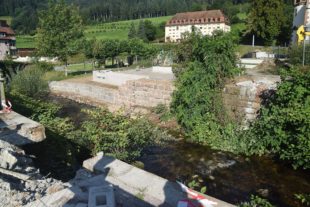 2021-8-16-NO-hv-Fußgängerbrücke Abbruch-DSC_2022
