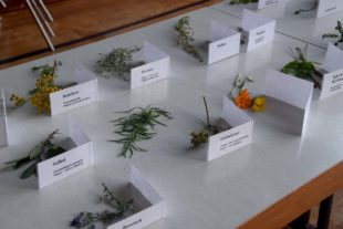 2021-8-16-NO-hv-Kräuterweihe-DSC_1994