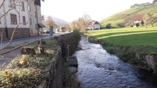 Regierungspräsidium saniert Stützwand