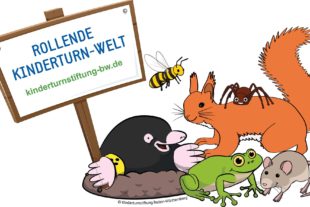 2021-8-20-BI-Verein-TV Biberach-Logo Rollende Kinderturn-Welt transparent