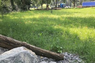 2021-8-25-BI-Landratsamt-Parkplatz B33-Foto 1 Wiese mit Steinhaufen und Totholz