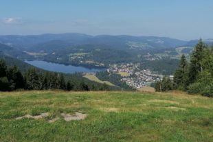 2021-8-4-NO-DAV-3 Seen-Tour im Schwarzwald-Blick vom Hochfirst