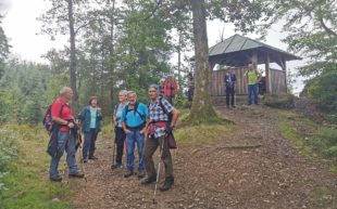 Auf dem Wenkweg nach Gengenbach