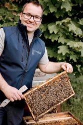 Mehr als nur Honig