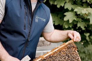 2021-10-1-ZE-UE-Unternehmen-BieneMartin-146_resized